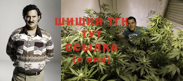 тгк Богданович