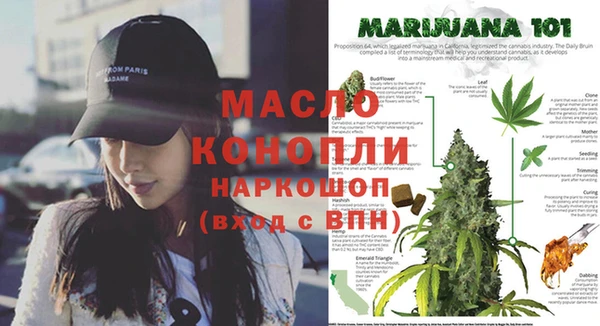 тгк Белокуриха