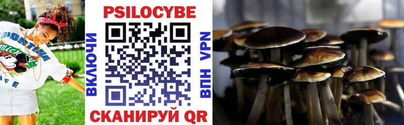 Псилоцибиновые грибы MAGIC MUSHROOMS  наркошоп  гидра как войти  Горнозаводск 